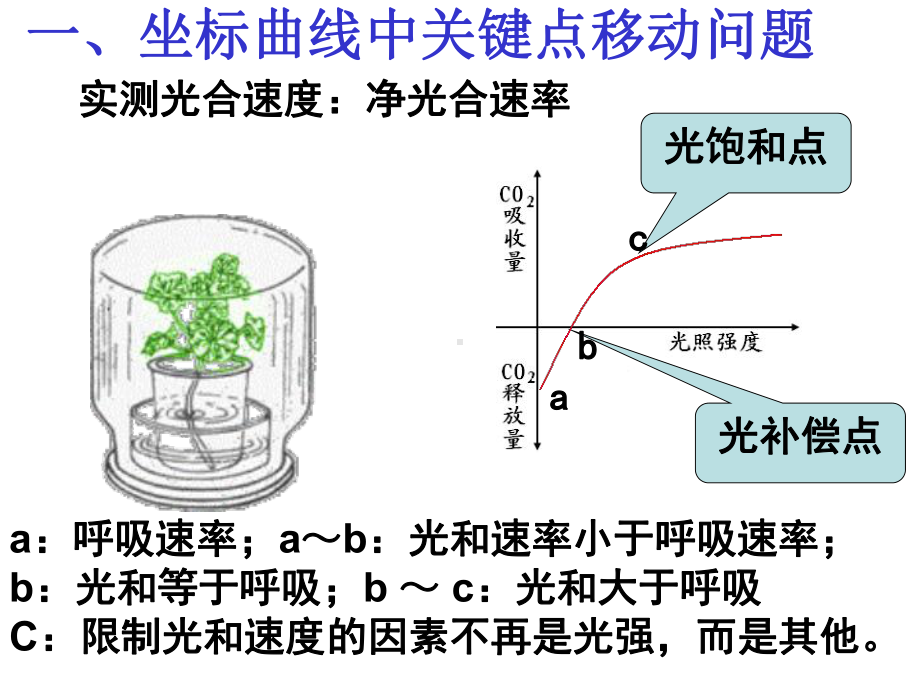 高考生物光合作用难点问题剖析课件.ppt_第3页