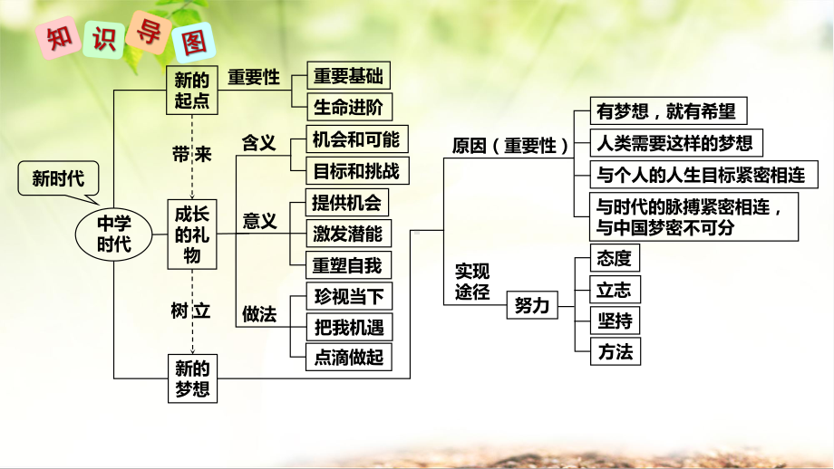 部编人教版七年级上册道德与法治-第一单元-成长的节拍-复习课件.ppt_第3页