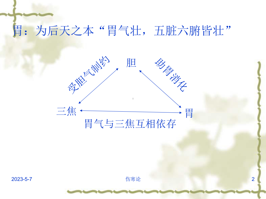 伤寒论-少阳病篇(七版课件.pptx_第2页