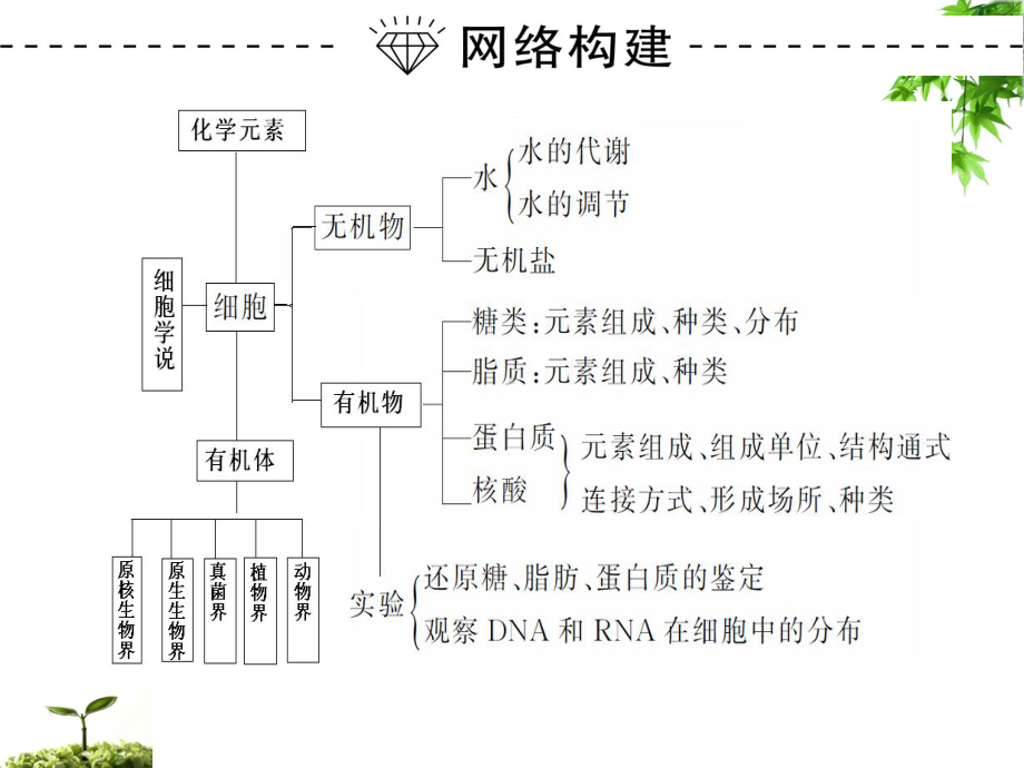 高中生物必修一第一章第一节-细胞的分子组成课件.ppt_第2页