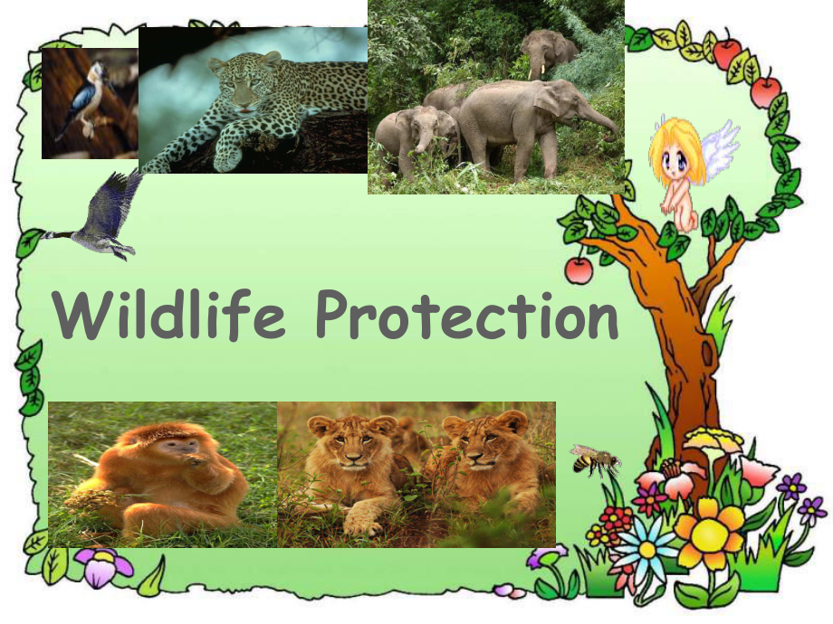 高中英语-必修二Unit4《Wildlife-protection》speaking-and-writing课件.ppt_第1页