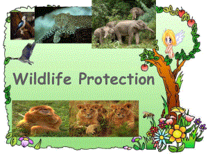 高中英语-必修二Unit4《Wildlife-protection》speaking-and-writing课件.ppt