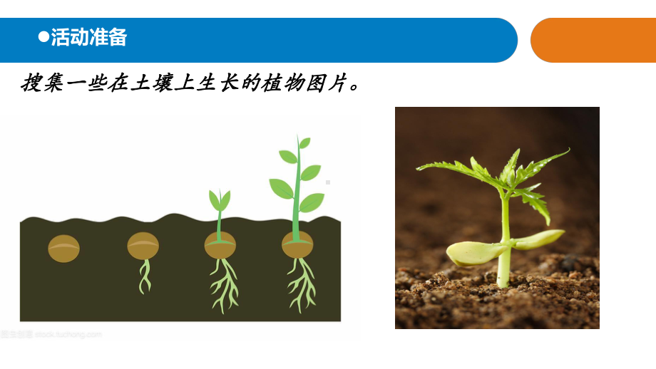 青岛版小学科学一年级下册科学12《土壤与植物》教学课件.pptx_第1页