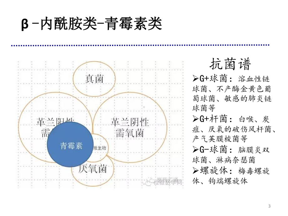 常用抗菌药物抗菌谱解析课件.ppt_第3页