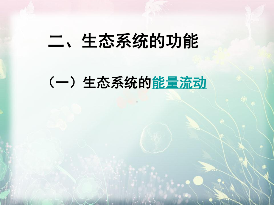 生态系统的功能课件.ppt_第2页