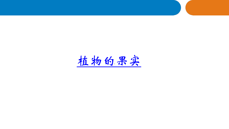 青岛版(新教材)小学科学三年级下册12《植物的果实》教学课件.pptx_第3页