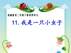 部编版人教版二年级语文下册11我是一只小虫子课件(绝对).ppt