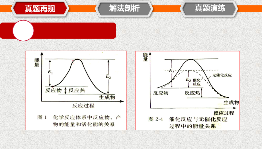 高三复习：催化剂及其应用课件.pptx_第3页