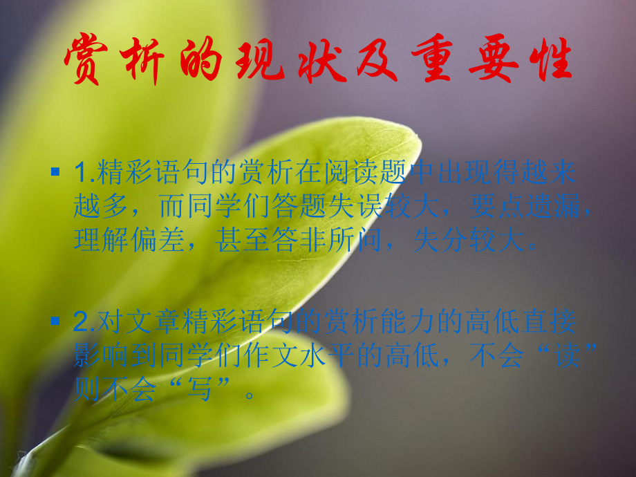 现代文词句赏析课件.ppt_第3页