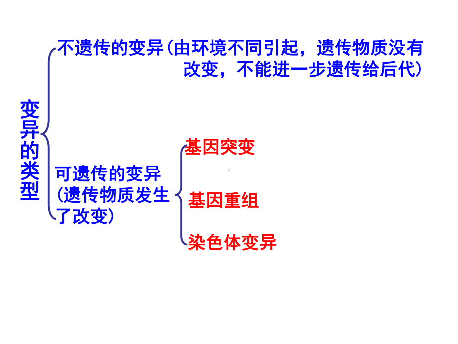 高二复习6-变异与进化课件.ppt_第2页