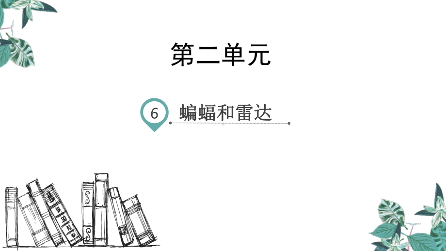 部编版四年级语文上册6蝙蝠和雷达(教学课件).pptx_第1页