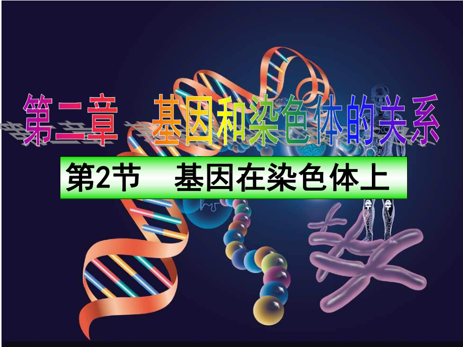 高中生物必修二：第二章第二节基因在染色体上-课件.ppt_第1页