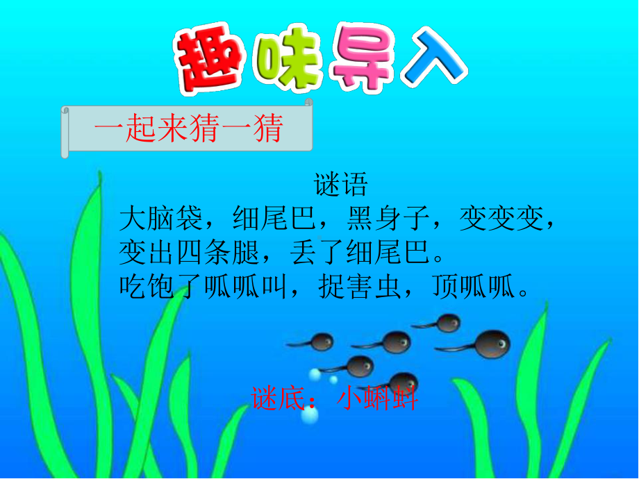 部编版二年级上册语文《小蝌蚪找妈妈》教学课件.ppt_第1页