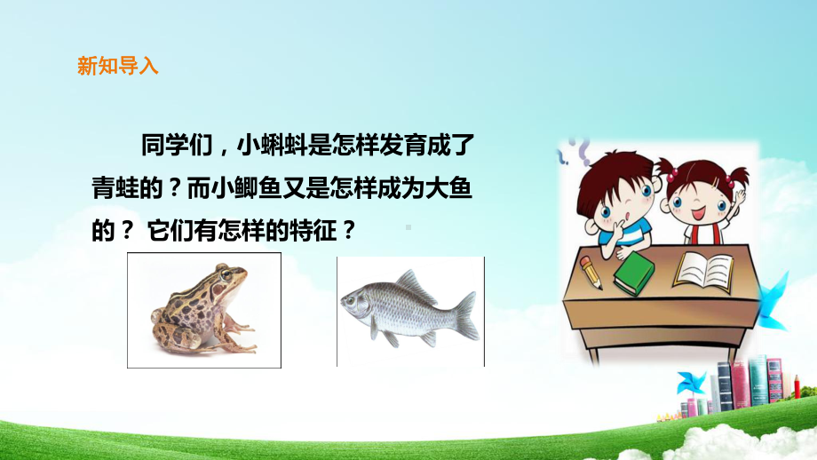 粤教版三年级上册科学课件11《鲫鱼与青蛙》.ppt_第2页