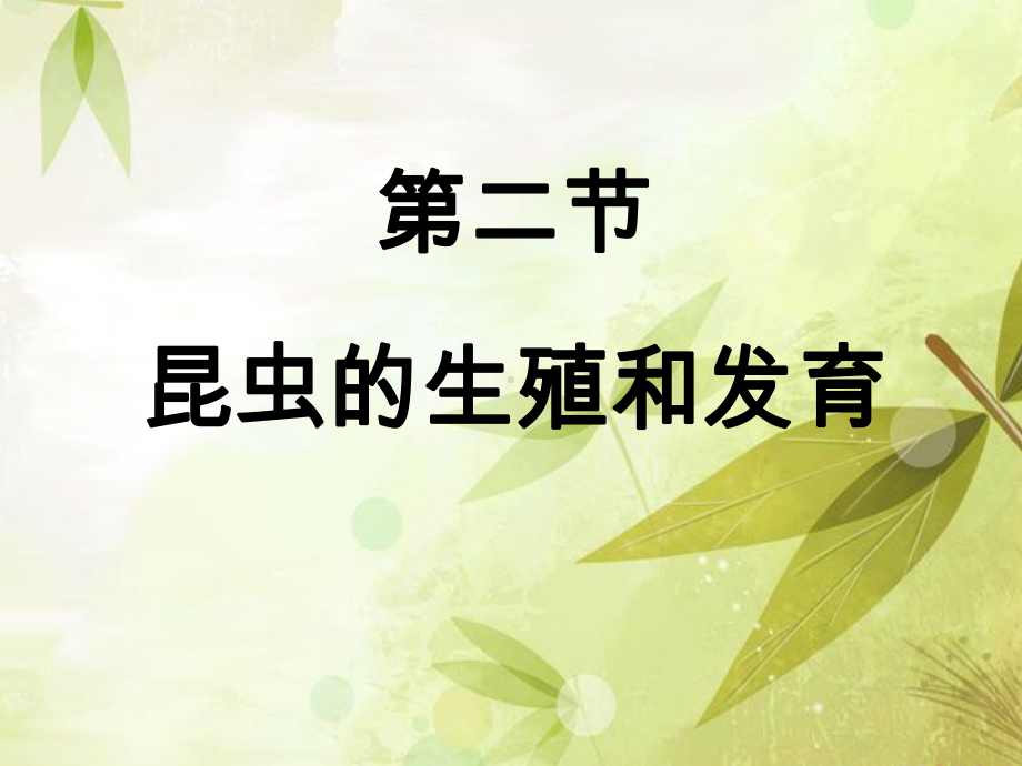 昆虫的生殖和发育-公开课课件.ppt_第1页