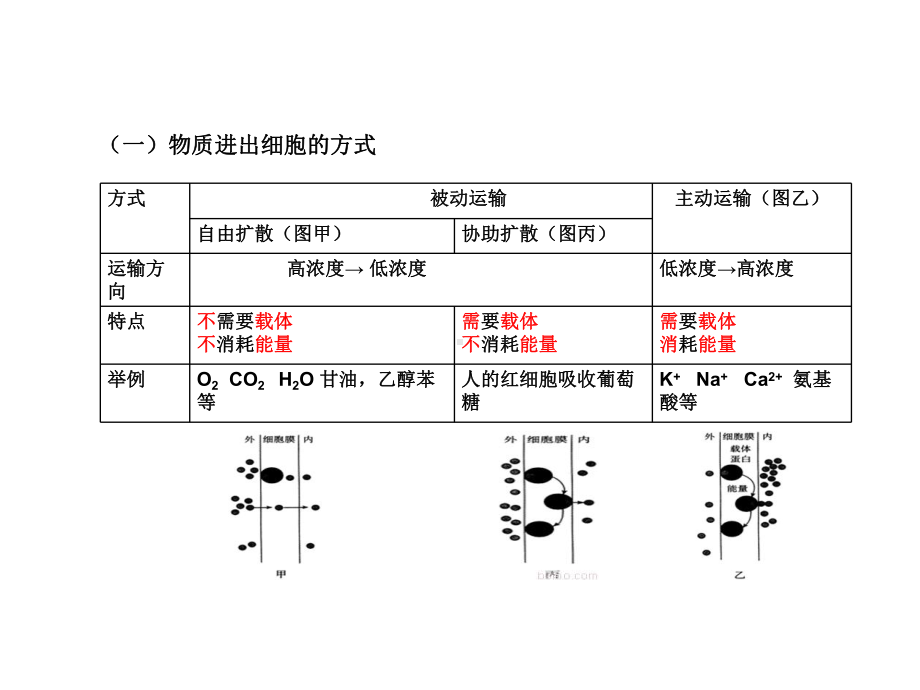 高中生物会考-专题复习-细胞代谢-课件.pptx_第2页