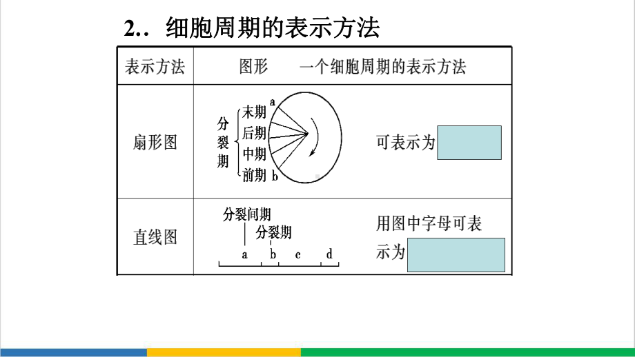 高中生物分裂复习课件.ppt_第2页