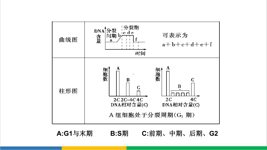 高中生物分裂复习课件.ppt_第3页