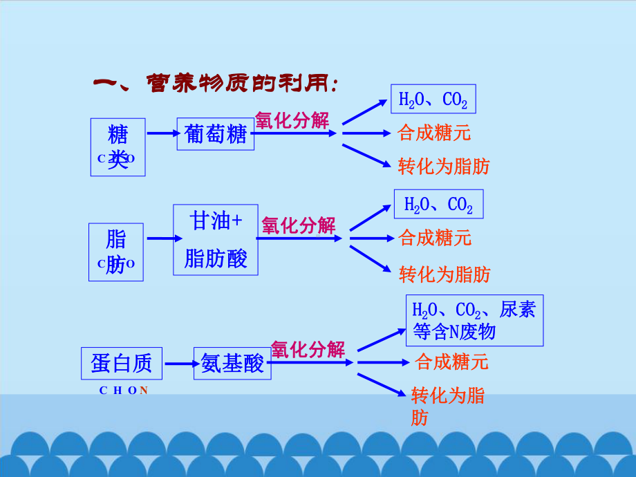 浙教版科学九年级上册第四章第5节体内物质的动态平衡课件.ppt_第2页