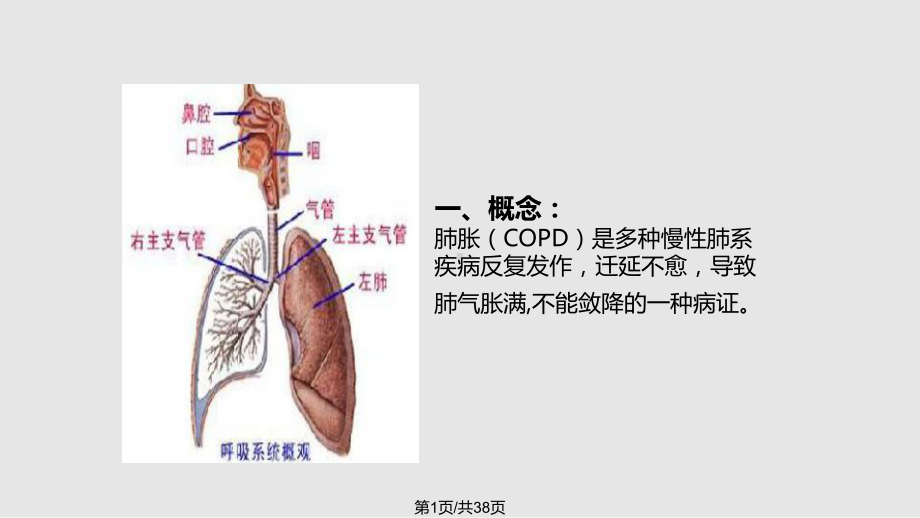 肺胀中医护理查房课件.pptx_第1页