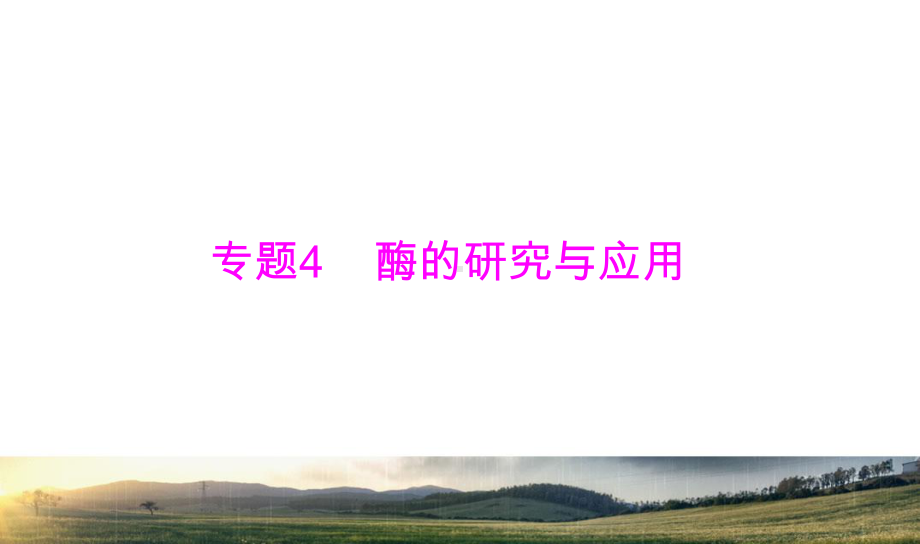 高考生物总复习专题4酶的研究与应用课件新人教版选修1.ppt_第1页