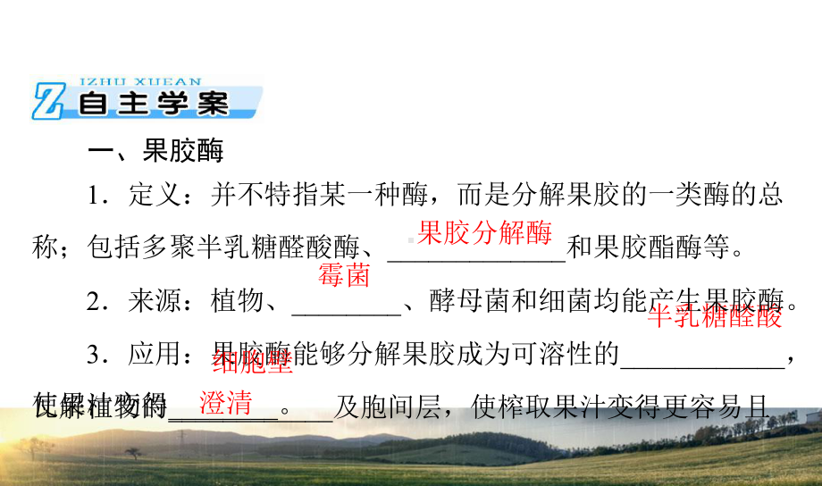 高考生物总复习专题4酶的研究与应用课件新人教版选修1.ppt_第3页