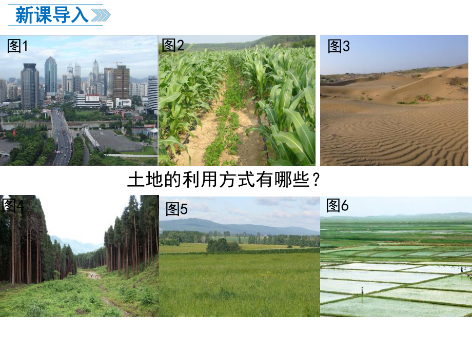 初中地理课件土地资源.ppt_第2页