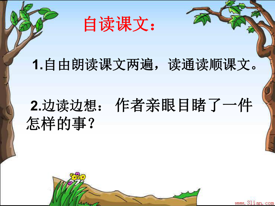 麻雀教学课件讲义.ppt_第3页