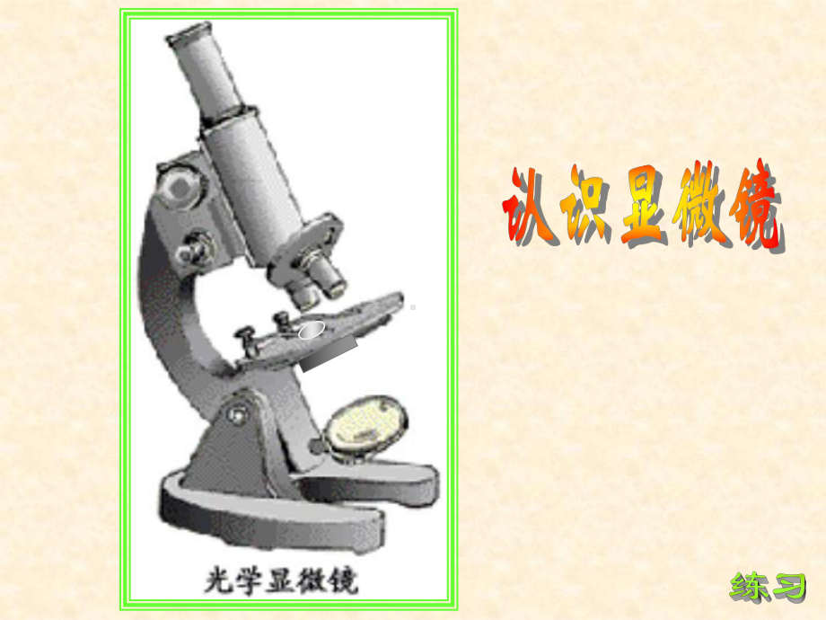 高中生物必修一教学课件：122显微镜的使用-.ppt_第2页