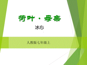 人教版七年级上《荷叶-母亲》课件.ppt