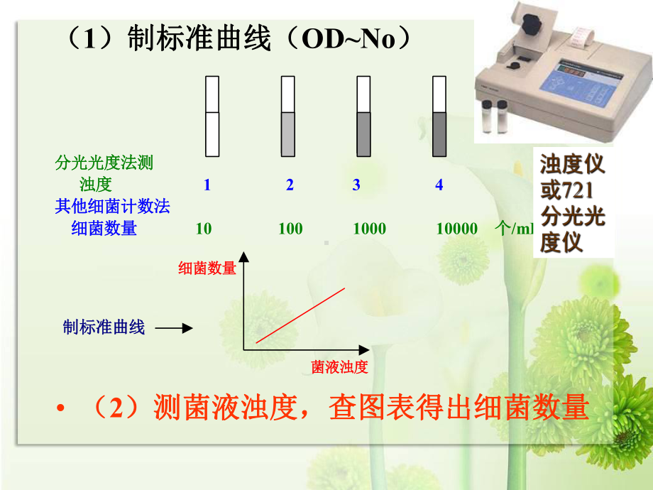 w微生物3-2.ppt_第3页