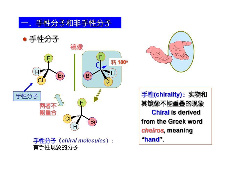 有机化学讲义-课件12.ppt_第3页