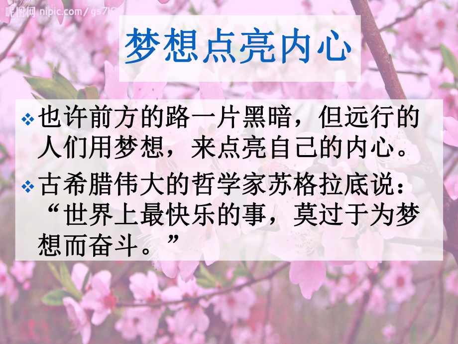 最新部编人教版七年级语文下册《一棵小桃树》公开课课件.pptx_第1页