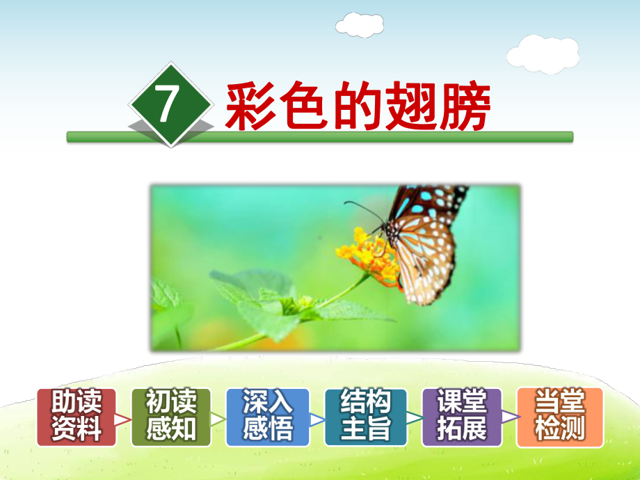 彩色的翅膀课件最新人教版.ppt_第2页