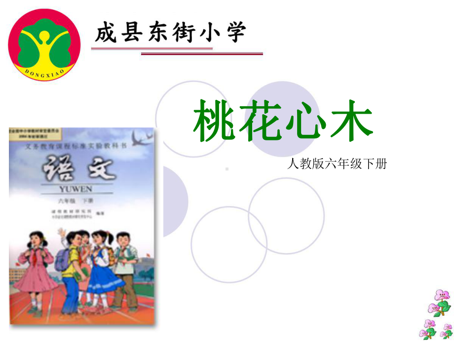 桃花心木说课内容课件.ppt_第1页