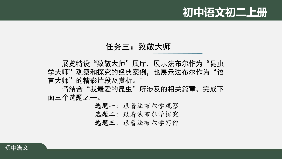 初二语文(人教统编)《名著导读：《昆虫记》(第二课时)》（教案匹配版）最新国家级中小学课程课件.pptx_第3页