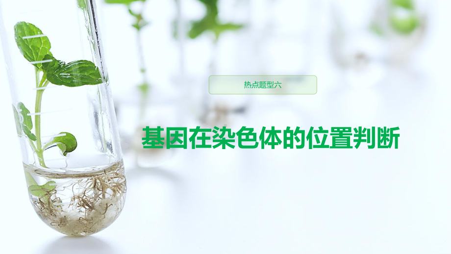 高中生物热点题型(基因在染色体的位置判断)课件.pptx_第1页