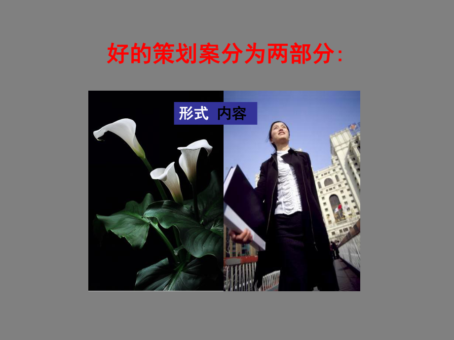 怎样做好一份策划案.ppt_第2页