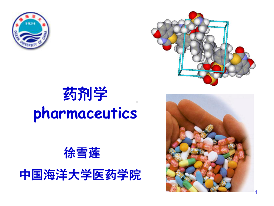 药学导论之药剂学课件.ppt_第1页