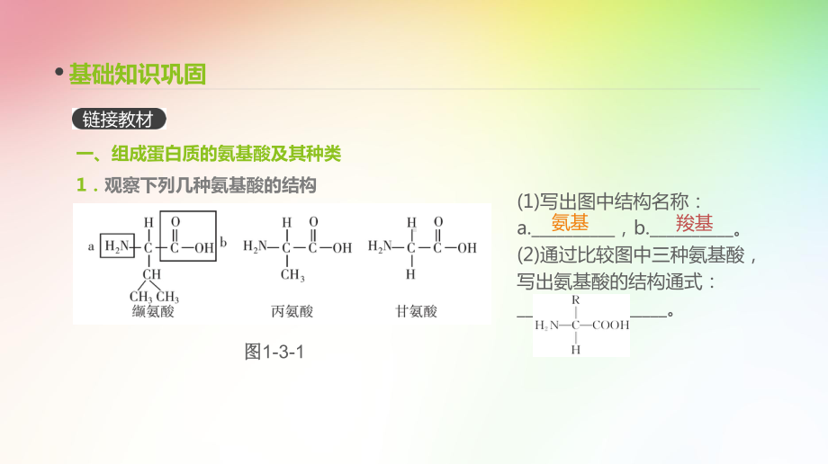 高中生物专题复习-第3讲-生命活动的主要承担者-蛋白质课件.pptx_第1页