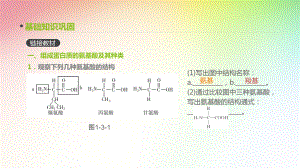 高中生物专题复习-第3讲-生命活动的主要承担者-蛋白质课件.pptx