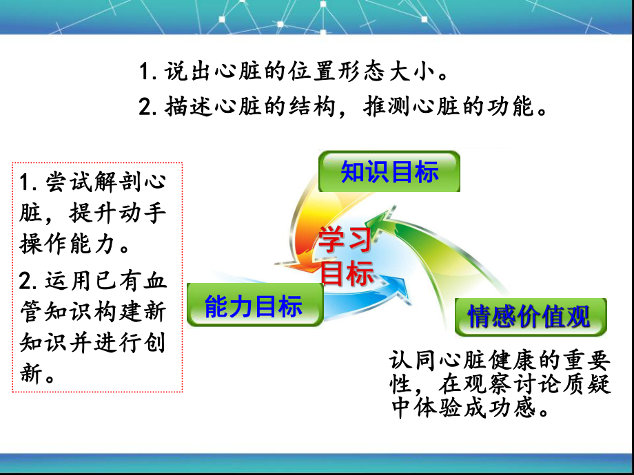 鲁教版生物七年级上册《物质运输的途径》课件.ppt_第3页