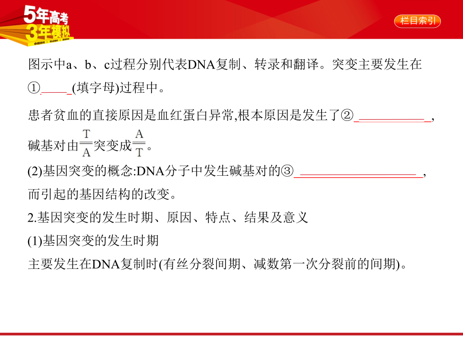 高中生物一轮复习专题14-生物的变异与育种(讲解部分)课件.pptx_第3页