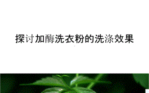 高中生物酶的研究与应用42探讨加酶洗衣粉的洗涤效果课件新人教版选修1.ppt