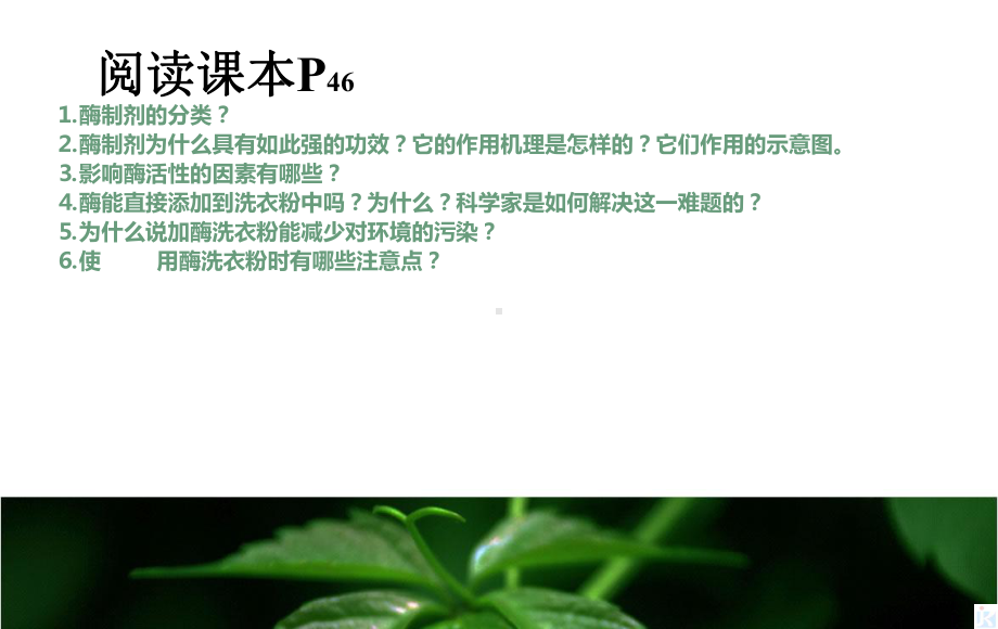 高中生物酶的研究与应用42探讨加酶洗衣粉的洗涤效果课件新人教版选修1.ppt_第2页