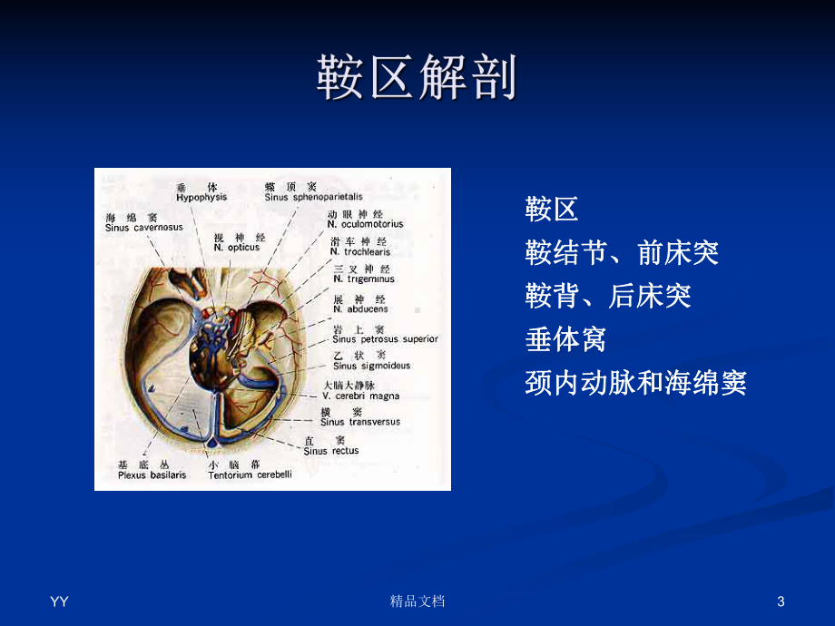 鞍区肿瘤医学课件.ppt_第3页