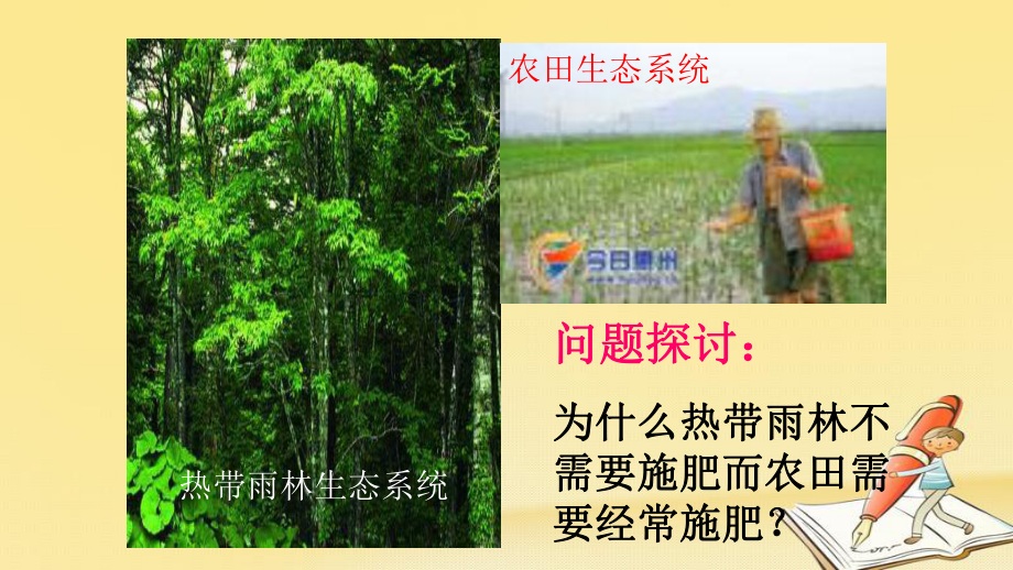 高中生物人教版必修3-生态系统的物质循环-课件.ppt_第2页