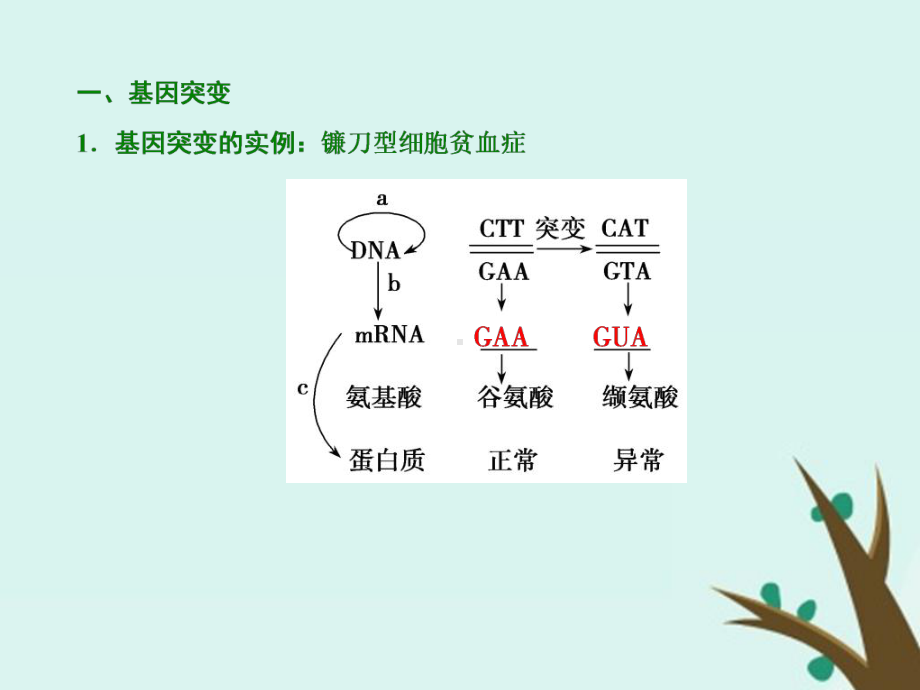 高考生物一轮复习课件第七单元-第一讲-基因突变和基因重组.ppt_第3页