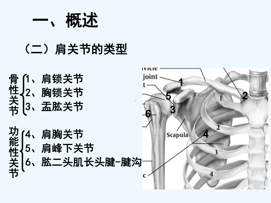 运动学-05-肩关节运动学[可修改版]课件.ppt_第3页