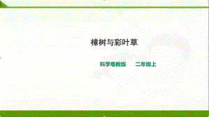 12-樟树与彩叶草(课件)粤教粤科版小学科学2二年级上册课件.ppt